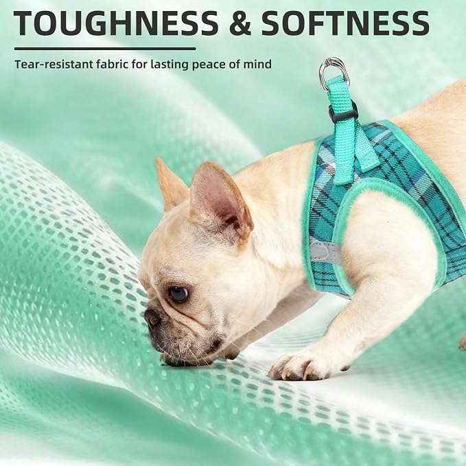 PUPTECK Dog Harness, Collar and Leash Set No Pull for Small Medium Sized | Plaid Puppy Step-in Escape Proof Reflective No Choke Pet Cat Adjustable Walking Vest - Image 6
