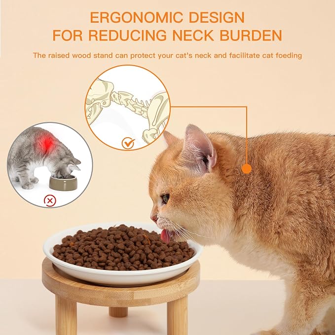 Shallow Elevated Cat Bowls, 2, White (Fish Bone), Bamboo Stand | 5.9 Inch Wide, Ceramic Dishes, Whisker Friendly, Raised Pet Food, Adjustable - Image 3