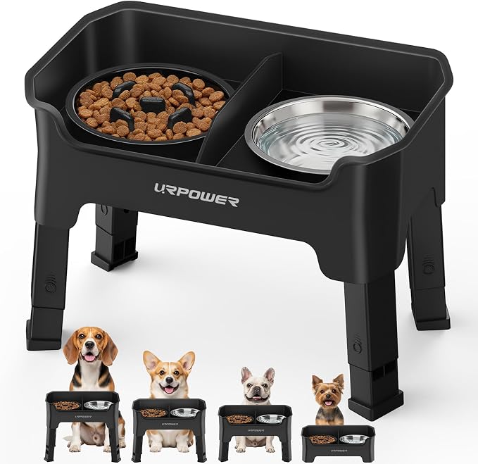 URPOWER Mess Proof Elevated Dog Bowls for Small Dogs with Slow Feeder | No Spill Water Bowl, Slow Feeder Dog Bowls, Non-Slip Food and Water Bowl Set for Small, Medium & Large Dogs by URPOWER