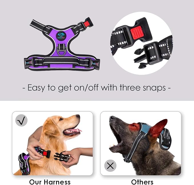 No Pull Dog Harnesses for Small Dogs Reflective Adjustable | Front Clip Vest with Handle 2 Metal Rings 3 Buckles [Easy to Put on & Take Off](XS, Purple) - Image 3