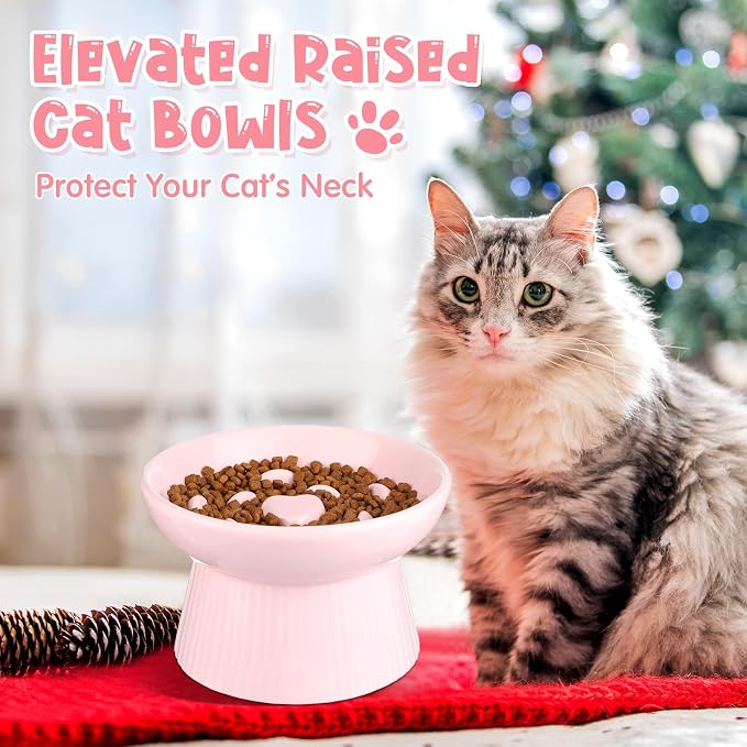 Tioncy 2 Pcs Ceramic Elevated Slow Feeder Cat Bowl, Raised Cat Slow Feeder Bowl, Anti Vomiting for Dry and Wet Food, No Spill High Edge Easy Clean Dishwasher Safe (Black,Pink) - Image 6