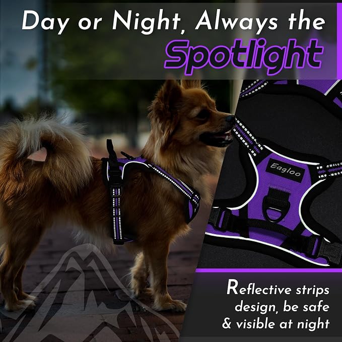 Eagloo Dog Harness for Small Dogs, No Pull Pet Vest with 2 Leash Clips | No Choke with Handle, Adjustable Comfort Fit, Reflective Strips, Easy Walking Control, Purple, X-Small - Image 8