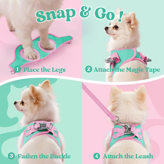 rabbitgoo Dog Harness Small Sized and Leash Set, Step in Soft Vest | Breathable Mesh, Easy Wear with Hook & Loop, Light and Reflective for Walking, Multi-colored, Teal & Pink, L - Image 2