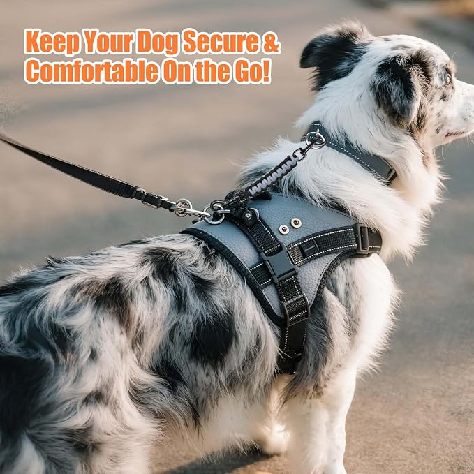 Dog Collar Safety Clip, Collar Companion, Handmade Backup Safety Strap, Double-Ended Clip Leash Connector, Suitable for Dog Harnesses, Prong, Pinch Collars (Black,Silver Gray, 1 Pack) - Image 7