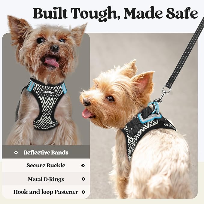 rabbitgoo Dog Harness Small Sized and Leash Set, Step-in Puppy Pet Vest | Light, Soft, Breathable Air Mesh, Easy on and Remove with Hook & Loop, Secure Reflective for Walking, Black Zigzag XXS - Image 5