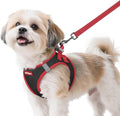 rabbitgoo Dog Harness Small Sized and Leash Set, Step in Soft Vest | Breathable Mesh, Easy Wear with Hook & Loop, Light and Reflective for Walking, Multi-colored, Black & Red, S by rabbitgoo