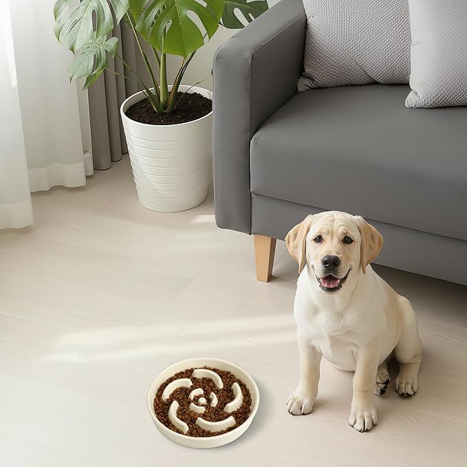 Ceramic Slow Feeder Dog Bowl, 2 Cups Maze Puzzle Dish to Slow Down Eating | Premium Ceramic Material with Anti-Slip Design, Suitable for Small, Medium and Large Breed Dogs Daily Feeding - Image 8