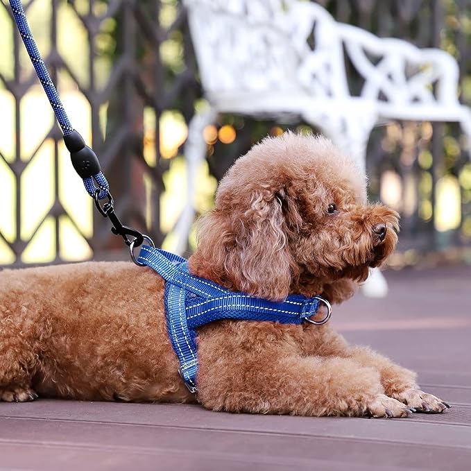 Plutus Pet No Pull Dog Harness for Puppy Small Dogs, Breathable Mesh Padded | Adjustable Reflective with Handle, Escape Proof, Quick Fit Pet Vest, Front Clip, for Training and Walking, Royal Blue, XXS - Image 5