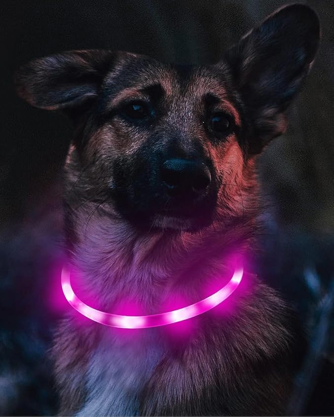 Joytale Light Up Dog Collar, LED Silicone Cut-to-Fit Rainproof, Purple | Soft Skin-Friendly Won't Chafe, 360° Glow Keeps Dogs Visible at Night, 3 Modes, Rechargeable USB-C, Small Medium Large Dogs - Image 3
