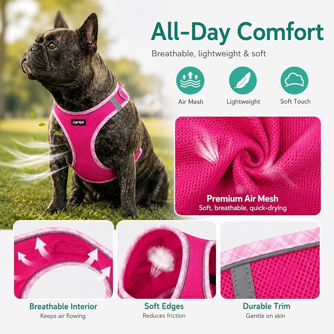AMTOR Small Dog Harness with Leash Set, No Escape Easy Walk Puppy Harnesses for Training Walking, Step-in Reflective Soft Dogs Vest for XS S Medium Extra-Small Large Sized Dog(Fuchsia,XS) - Image 2