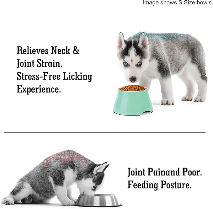 Dog Bowls,Cone Friendly Non-Slip Single Dog Bowl with Stainless Steel Inner, Raised Bowls for Small and Medium Dogs Spaniel Dogs Long Ear, High Capacity, L/3 Cups Mint Green - Image 5