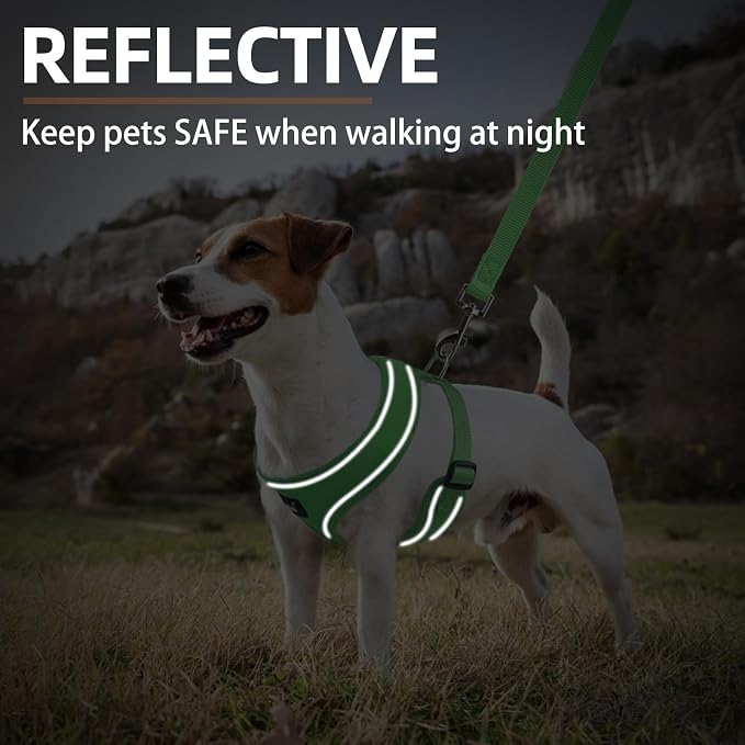 PUPTECK Small Dog Harness and Leash Set No Pull for XS XXS Sized Dogs Puppy | Escape Proof No Choke Pet Cat Adjustable Soft Padded Walking Vest - Image 6