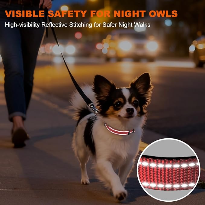 Taglory Reflective Dog Collar for Puppies, Gentle and Safe for Night Walks | Night-Walk Visibility, Soft Neck Cushioning, Adjustable 8-12 in, Locking Buckle, D-Ring for Leash and ID Tags - Image 5