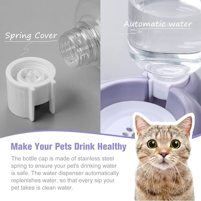 Dog Bowls, Cat Food and Water Bowl Set with Water Dispenser and Stainless Steel Bowl for Cats and Small Dogs - Purple - Image 4