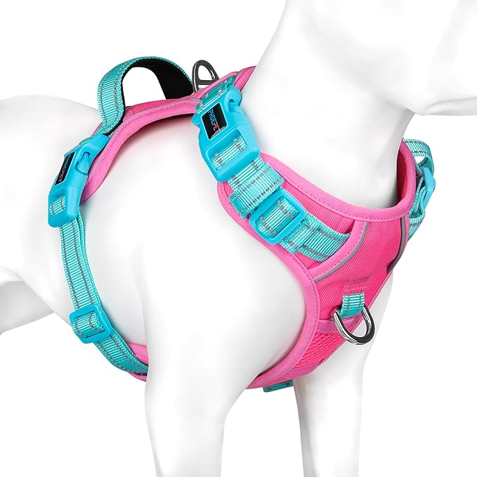 No Pull Dog Harness, Unique Colors Reflective Adjustable Dog Vest | with Soft Training Handle Metal Clips for Small Medium Large Dogs (Pink Base & Green Straps,L) by PHOEPET