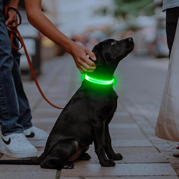 Illumifun LED Collar for Small Dogs, USB Rechargeable Light Up Dog Collar, Flashing Pet Safety Light Glow in the Dark (Green, Small) - Image 5
