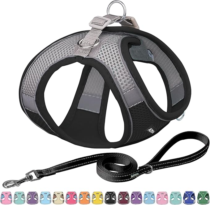 AIITLE Medium Dog Harness and Leash Set, Step-in Puppy Pet Vest, Black M | Breathable Mesh, Adjustable Fit, Reflective Design, Padded Leash Handle, for Small-Medium Dogs & Cats, Walking, Training by AIITLE-FORPETSBETTERLIFE