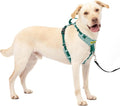 PetSafe Easy Walk Comfort No Pull Dog Harness, Green Gingham, Large | Stops Pulling on First Use with Front Martingale Loop, Padded Comfort, 5-Point Adjustable Fit by PetSafe