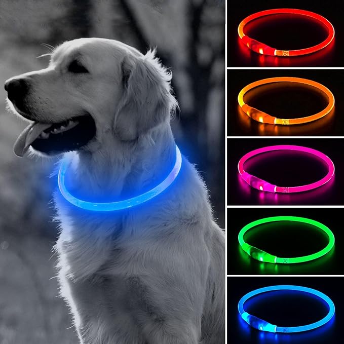 Light Up Dog Collar - 360° Visible Rainproof LED Dog Collar Rechargeable - TPU Cuttable Glowing Pet Collar for Small Medium Large Dogs - Safety Dog Lights for Night Walking& Camping (Blue 70cm) by BSEEN