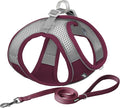 AIITLE Dog Harness and Leash Set, Step-in Puppy Pet Vest, Burgundy M | Breathable Mesh, Adjustable Fit, Reflective Design, Padded Leash Handle, for Small-Medium Dogs & Cats, Walking, Training by AIITLE-FORPETSBETTERLIFE