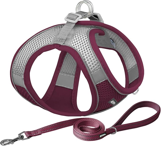 AIITLE Dog Harness and Leash Set, Step-in Puppy Pet Vest, Burgundy M | Breathable Mesh, Adjustable Fit, Reflective Design, Padded Leash Handle, for Small-Medium Dogs & Cats, Walking, Training by AIITLE-FORPETSBETTERLIFE