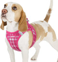 rabbitgoo Step-in Small Dog Harness, Puppy Vest for Small Sized Pet | Easy Put on and off, Lightweight, Soft, Breathable Quick-Dry Air Mesh for Comfortable Secure Walking, Rose Red Plaid M by rabbitgoo