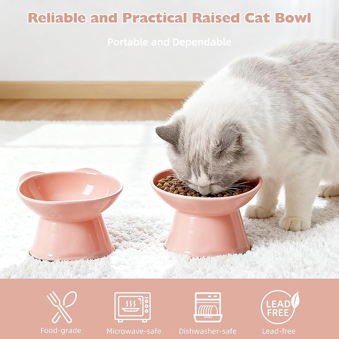 KSIA Klear Elevated Cat Bowls 2 Pack, Tilted Raised Cat Bowl for Food and Water, 4.72" Wide, Whisker Friendly Anti Vomit for Indoor Cats, Microwave and Dishwasher Safe, Pink - Image 2