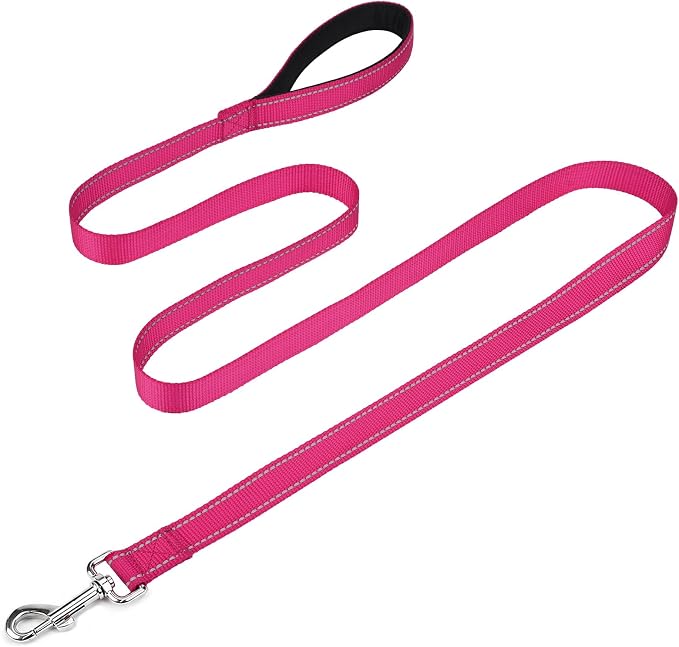 FunTags Reflective Nylon Dog Leash for Medium & Large Dogs, 6FT for Walks | Comfortable Padded Grip, Stay Safe at Night, 360° Anti-Tangle Swivel, for Dog Parks & Trails, Hot Pink by FUNSTARTSHERE