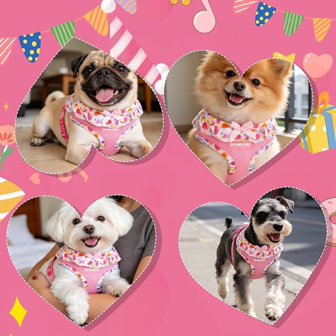 EXPAWLORER Step-in Dog Harness Small Sized and Leash Set | Cute Small Dog Harness No Pull Girl, Breathable Soft Mesh Padded, Adjustable Light Puppy Vest for Dogs Cats, Floral XS - Image 6