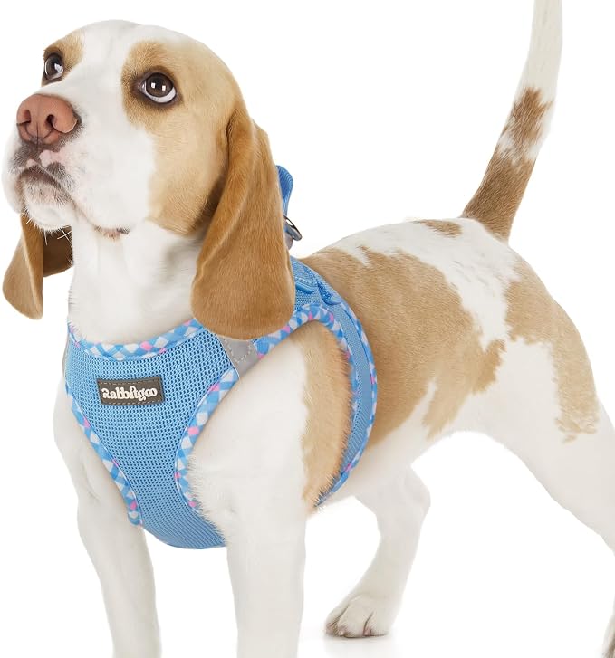 rabbitgoo Step-in Small Dog Harness, Puppy Vest for Small Sized Pet | Easy Put on and off, Lightweight, Soft, Breathable Quick-Dry Air Mesh for Comfortable Secure Walking, Blue & Plaid Trim M by rabbitgoo