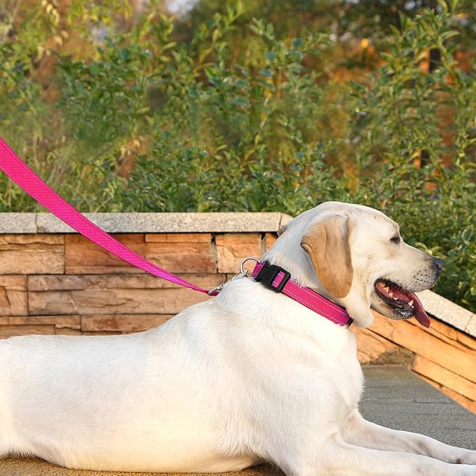 6 FT Basic Dog Leash for Small Dogs,Hot Pink | Padded Handle,Metal D-Ring,Heavy Duty Nylon Webbing, for Walking & Training - Image 3