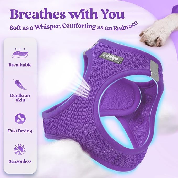 rabbitgoo Dog Harness Medium Sized and Leash Set, Step-in Puppy Pet Vest | Light, Soft, Breathable Air Mesh, Easy on and Remove with Hook & Loop, Secure Reflective for Walking, Purple L - Image 4
