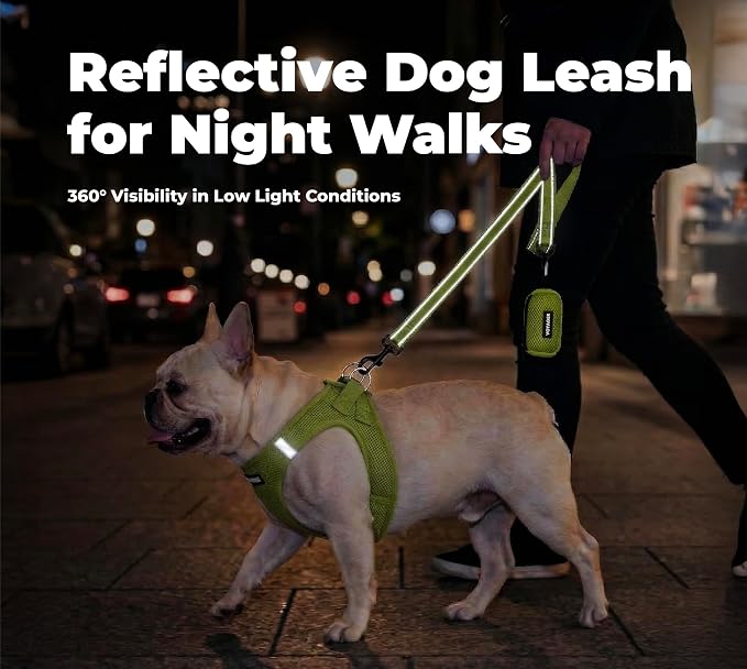 Best Pet Supplies Voyager Nylon Dog Leash - Lime Green, Large | 5ft in Length, 1" in Width, Reflective, Soft Neoprene Handle, Heavy Duty Metal Clips for Running, Walking & Training - Image 4