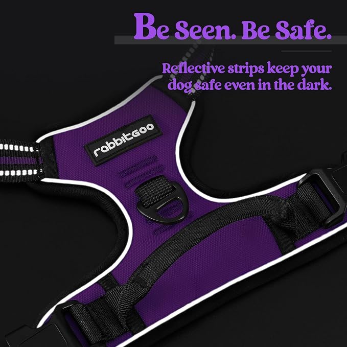 rabbitgoo Dog Harness, No Pull for Small Dogs with 2 Leash Clips, Pet Vest | No Choke with Handle, Adjustable Soft Padded, Reflective, Easy Control for Walking, Purple, Small - Image 7