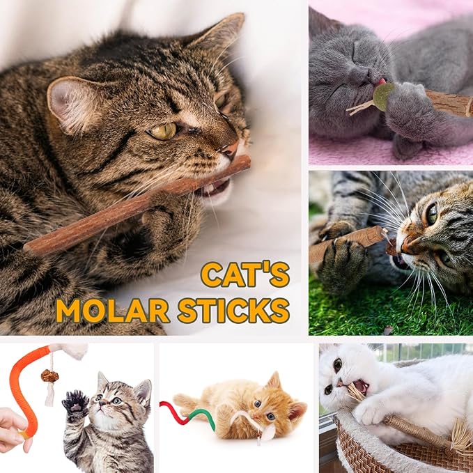 Kyouki Cat Toys Cat Chew Toys, Silvervine Sticks Catnip Rope Toys for Cats Teeth Cleaning, Kitten Dental Care, Kitty for Indoor Cats Increase Appetite,Enhances Oral & Dental Health (21 Pack) - Image 2