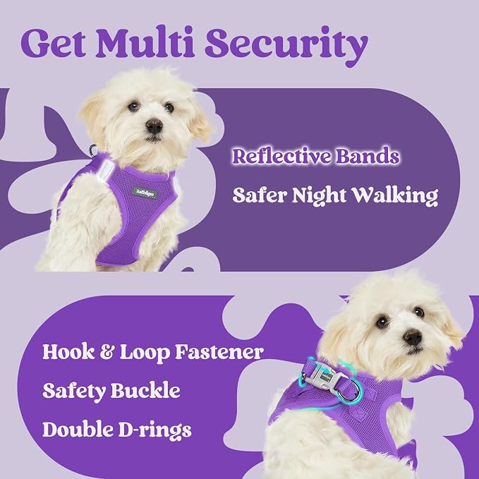 rabbitgoo Step-in Small Dog Harness, Puppy Vest for Small Sized Pet | Easy Put on and off, Lightweight, Soft, Breathable Quick-Dry Air Mesh for Comfortable Secure Walking, Purple XXXS - Image 8