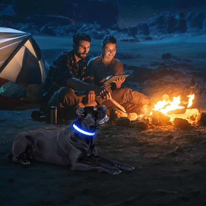 Illumifun LED Dog Collar, Water-Resistant Light Up Dog Collar, Safety Dog Collar Light for Your Dogs Walking Camping(Blue, X-Large) - Image 6