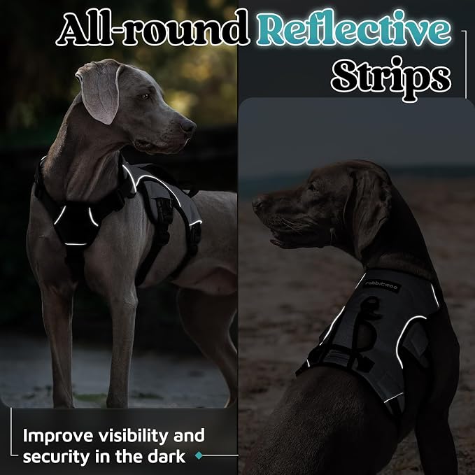 rabbitgoo Escape Proof Dog Harness for X-Large, No Pull with Lift Handle | No Escape, Full Soft Padded, Reflective Adjustable Vest, Leash Clip for Walking Hiking Training, Grey, X-Large - Image 8
