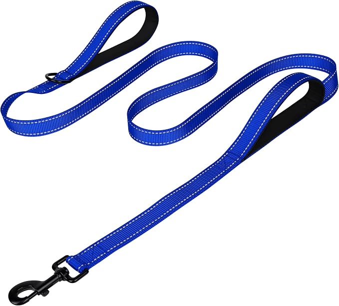 Joytale Dog Leash for Large Dogs that Pull, Double Handle, 5FT, Royal Blue | Traffic Handle for Control, Padded Handle Reduces Hand Strain, Reflective Stitching for Night Safety, Strong Nylon Webbing by Joytale