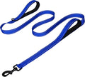 Joytale Dog Leash for Large Dogs that Pull, Double Handle, 5FT, Royal Blue | Traffic Handle for Control, Padded Handle Reduces Hand Strain, Reflective Stitching for Night Safety, Strong Nylon Webbing by Joytale