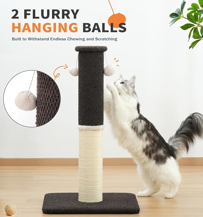 Made4Pets Cat Scratching Post with Sisal & Carpet for Indoor Cats, 23.6" | Cat Scratcher with Wide Stable Base, Interactive Hanging Toys, Ideal for Kittens, Small Cats and Everyday Indoor Play - Image 7