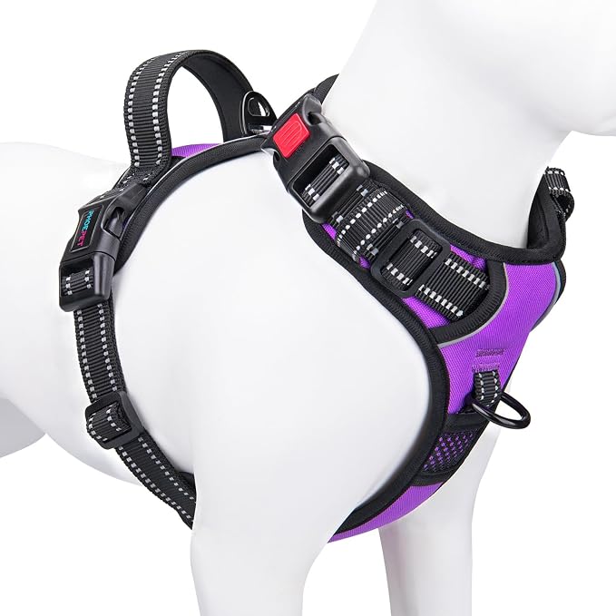 No Pull Dog Harnesses for Small Dogs Reflective Adjustable | Front Clip Vest with Handle 2 Metal Rings 3 Buckles [Easy to Put on & Take off](S, Purple) by PHOEPET