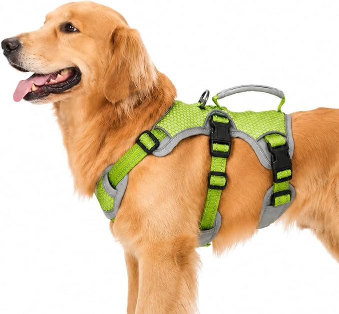 Escape Proof Dog Harness, Dachshund Harness, Reflective Dog Harness with Handle, Durable,Adjustable Vest for Small Medium Large Dogs Walking, Training, and Running Gear (Green,L) by Huntboo