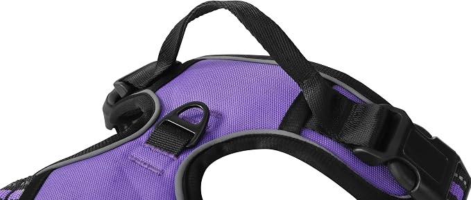 Purple No-Pull Dog Harness with 2 Leash Clips，Soft Padded Vest for Large Dog, Adjustable Reflective Dog Vest Easy to Put on and Take Off, (Neck: 17"~24", Chest: 24"~32",Purple L) - Image 3