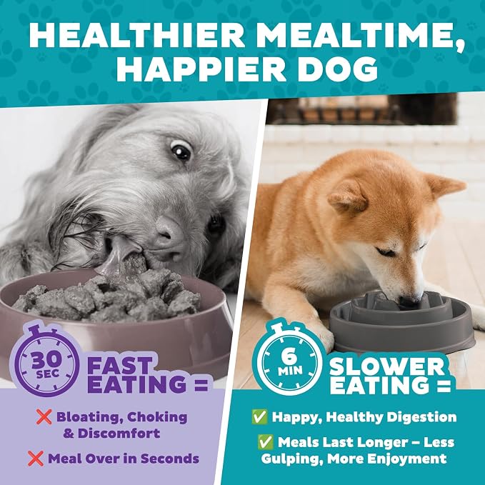Outward Hound Fun Feeder Slo Bowl – Medium 2‑Cup Capacity,Slow Feeding,Small to Medium Dogs & Cats,Non-Slip,Gray,Drop Pattern,(Pack of 12) - Image 6