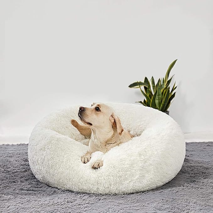 HACHIKITTY Calming Donut Cuddler Dog Bed, Round Fluffy Pet Bed for Large Dogs,Washable, Large, White, 30'' - Image 6