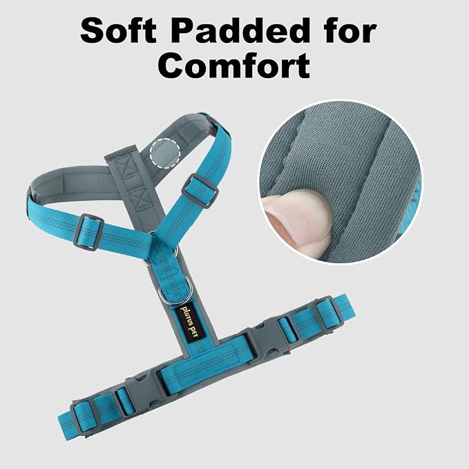 Plutus Pet No Pull Dog Harness, Adjustable Nylon Harness with Soft Padding | Reflective with Front Clip, Heavy Duty for Training and Walking, for Small Medium Large Dogs, Cyan, XL - Image 3