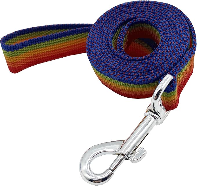 Nylon Dog Training Leash, Traction Rope, 4/5/6 Feet Long, 3/4 Inch 1 Inch Wide, for Small and Medium Dogs (1'' x 5 FT, Rainbow) by TAIDA