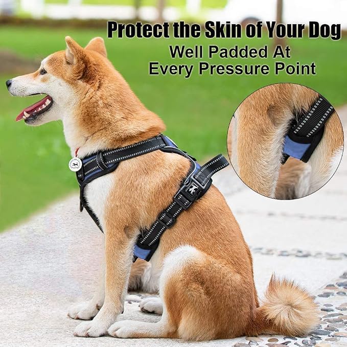 PoyPet No Pull Dog Harness Medium, Reflective Vest with Front Clip & Handle | Easy On/Off, No Choke, Adjustable, 2 Leash D-rings, Soft Padded, Breathable, Oxford, for Walking Training, M, Light Blue - Image 5