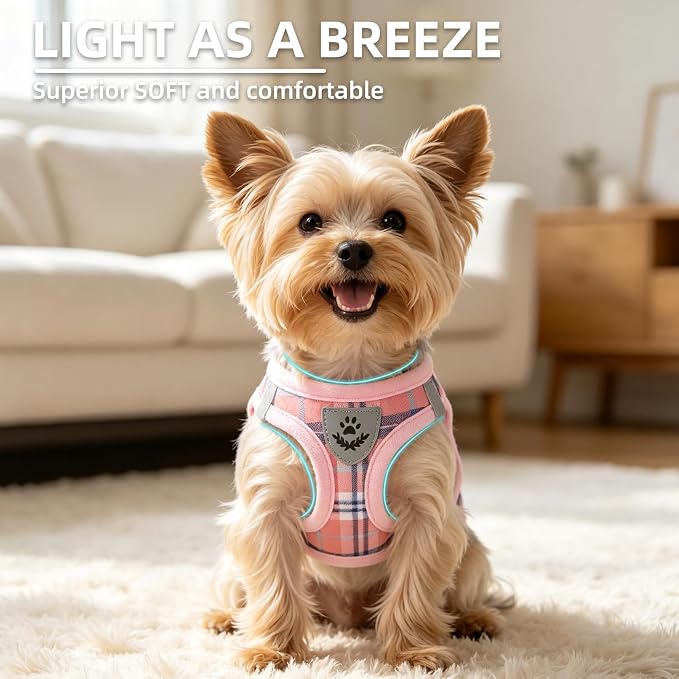 PUPTECK Dog Harness, Collar and Leash Set No Pull for Small Medium Sized | Plaid Puppy Step-in Escape Proof Reflective No Choke Pet Cat Adjustable Walking Vest - Image 3